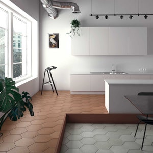 May include: A modern kitchen with white cabinets and a large island. The floor is tiled with hexagonal tiles in two shades of brown. A plant hangs from the ceiling and a window looks out onto a city street.