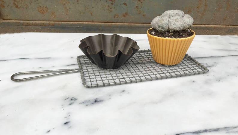 coconut cream puff cactus cupcake
