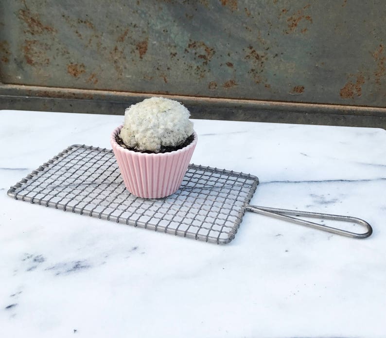 coconut cream puff cactus cupcake