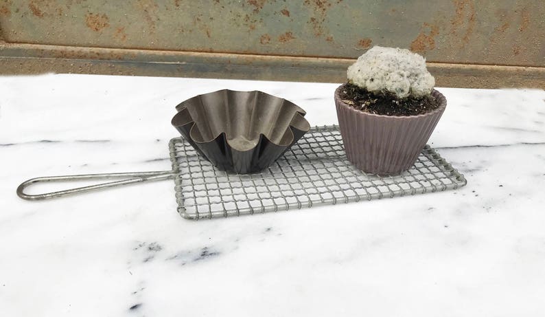 coconut cream puff cactus cupcake
