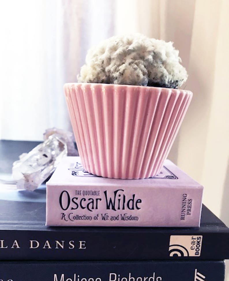 coconut cream puff cactus cupcake