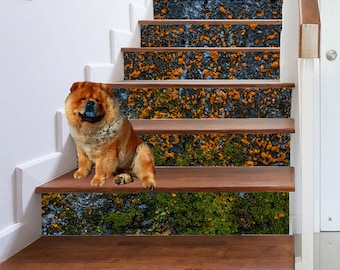 Autocollants de contremarches d’escalier Lichen vert et orange pittoresque sur pierre / Panneau adhésif de décoration d’escalier / Autocollants d’escalier Décalcomanies Peel and Stick