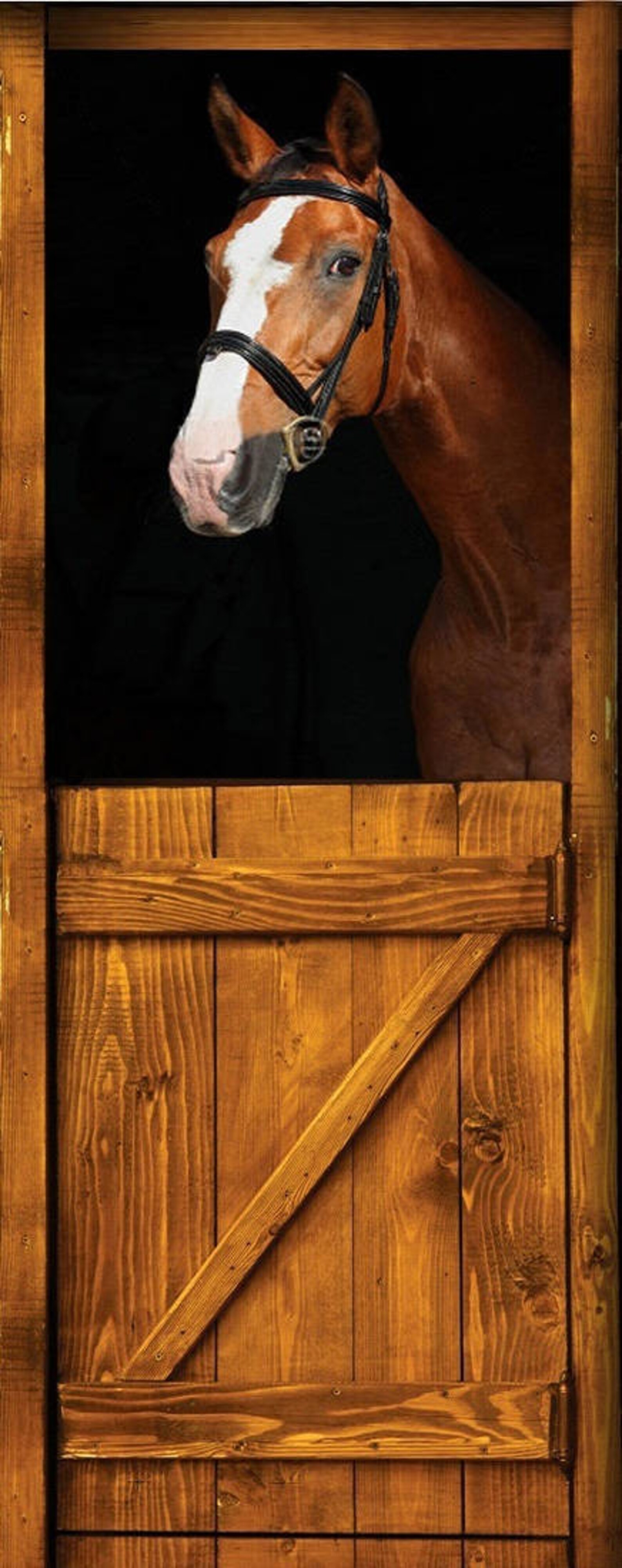 Door Wall Sticker horse in the Stall2 / Horse Door Stickers Etsy UK