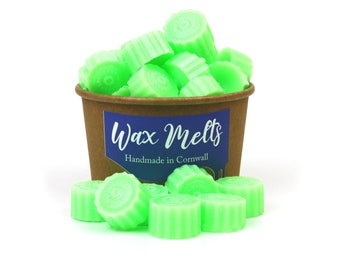 Jaleas de lima - La cera de lima se derrite - Happy Piranha Wax melts - Hand Made Vegan Friendly Wax Melts - Scented melts - scentsy wax tarts - citrus