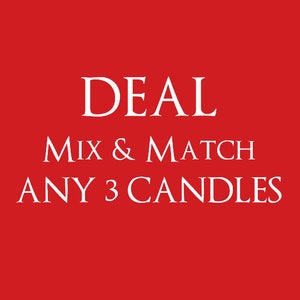 Deal mix and match any 3 candles - happy piranha scented candle - bookish candles -