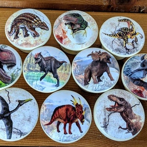 May include: Set of ten ceramic drawer knobs featuring different dinosaur illustrations. Each knob is round and white with a colorful dinosaur image on top. The dinosaurs include a T-Rex, a Triceratops, a Stegosaurus, a Pterodactyl, and more.