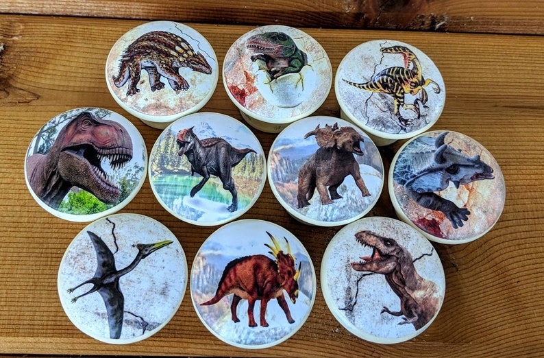 Dinosaur Wood Knobs No VOC Paint No VOC Clear Coat Gloss Furniture Handle Nursery Kids Bedroom Hand Painted Pull Baby Shower Size 1.5
