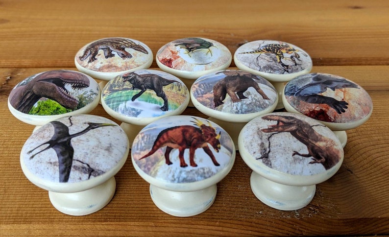 Dinosaur Wood Knobs No VOC Paint No VOC Clear Coat Gloss Furniture Handle Nursery Kids Bedroom Hand Painted Pull Baby Shower Size 1.5