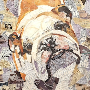 Bulldog art signed and numbered print