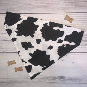 May include: A black and white cow print bandana for a pet. The bandana is made of fabric and has a triangular shape.