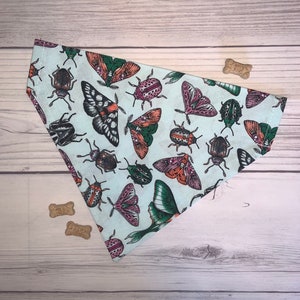 Bugs and Insects Dog Bandana | Over The Collar Pet Cat Bandana | Bow Tie Sailor Bow | Keychain Scrunchie | CactusPeach Pet Boutique