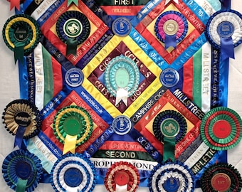 4-H Competition Ribbon Display example Only - Etsy