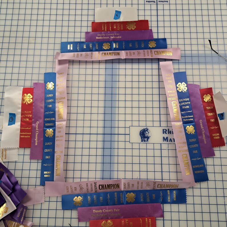 4-H Competition Ribbon Display ***example Only*** - Etsy