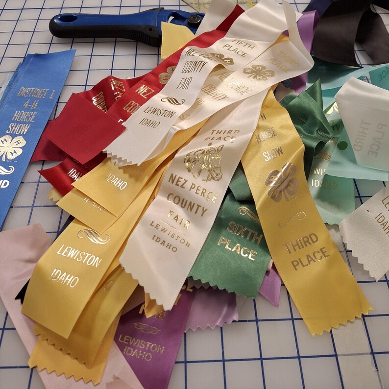 Horse Ribbon Quilt example Only Etsy