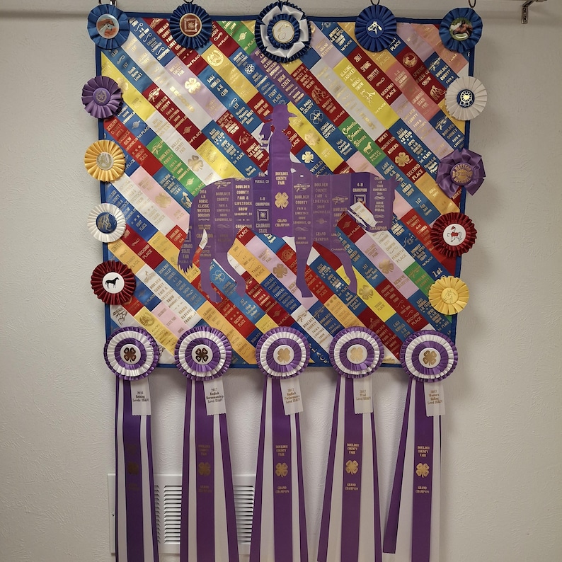 4-H Horse Competition Award Ribbon Display ***example Only - Please Don ...