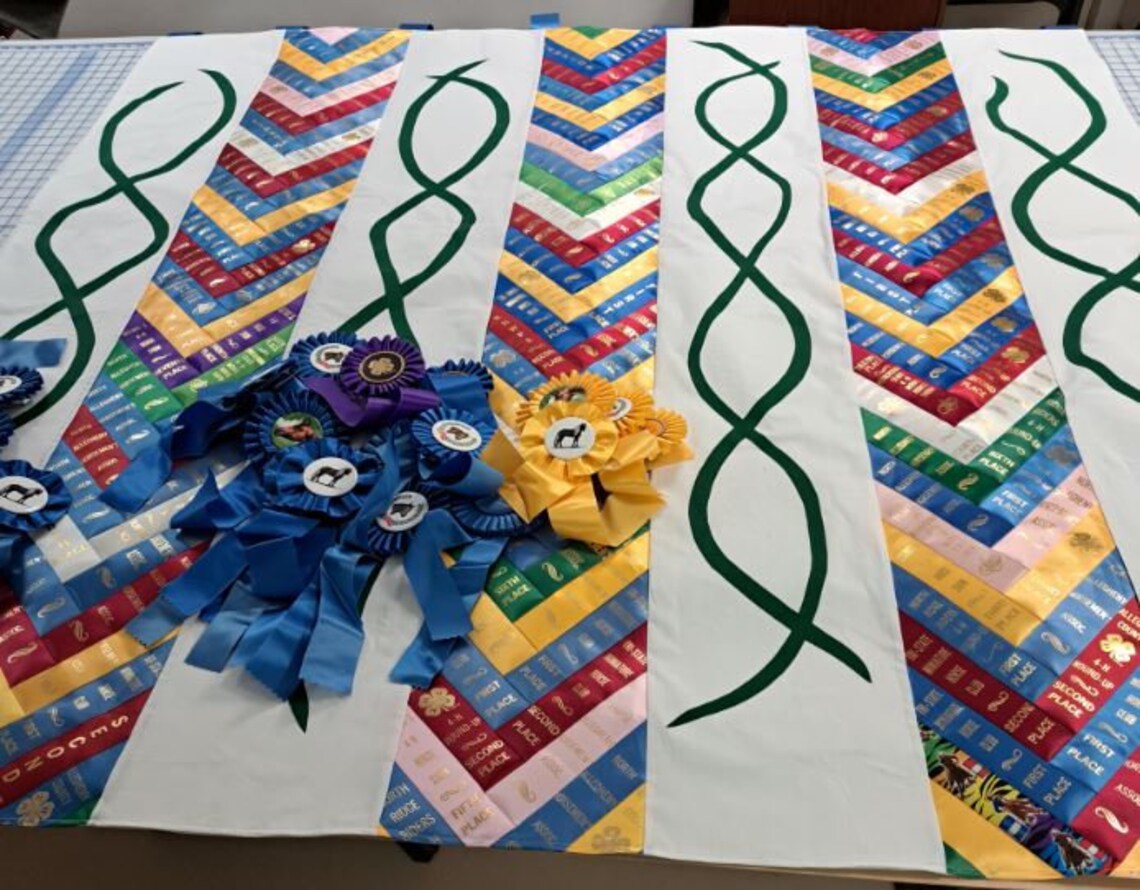 Custom 4H Ribbon Display ***example Only*** - Etsy