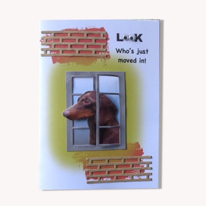 Grappige teckel nieuwe thuiskaart - 3D humoristische hond - welkom burenkaart
