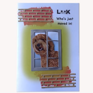 Verhuizen - Nieuwe buren - Caramel Cockapoo-kaart - Kaart 3D Humorous Labradoodle