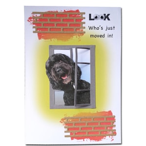 Grappige nieuwe Home Card 3D Humorous Cockapoo