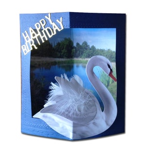 Tarjeta de cumpleaños de cisne blanco mudo 3D - Tarjeta general - Diseño exclusivo inusual - Amantes de las aves silvestres - Ornitólogo