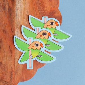 May include: Three stickers featuring a cartoon parrot design. The parrots are green with light blue wings and a light orange beak. Each parrot is perched on a pink pole. The stickers are on a wooden surface with a blue background.