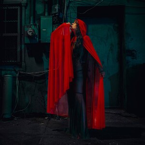 See Through Cape Red Hooded Cloak Cloak Veil Halloween Etsy