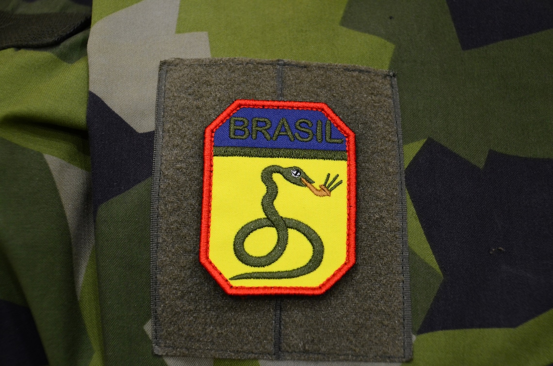 WW2 Brazilian Smoking snakes patch Brazilian Expeditionary | Etsy
