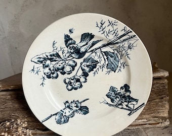 Antique French ironstone dessert plate. Blue bird berries and hazelnuts pattern. Stamped HB & Cie. FRANCE 19th