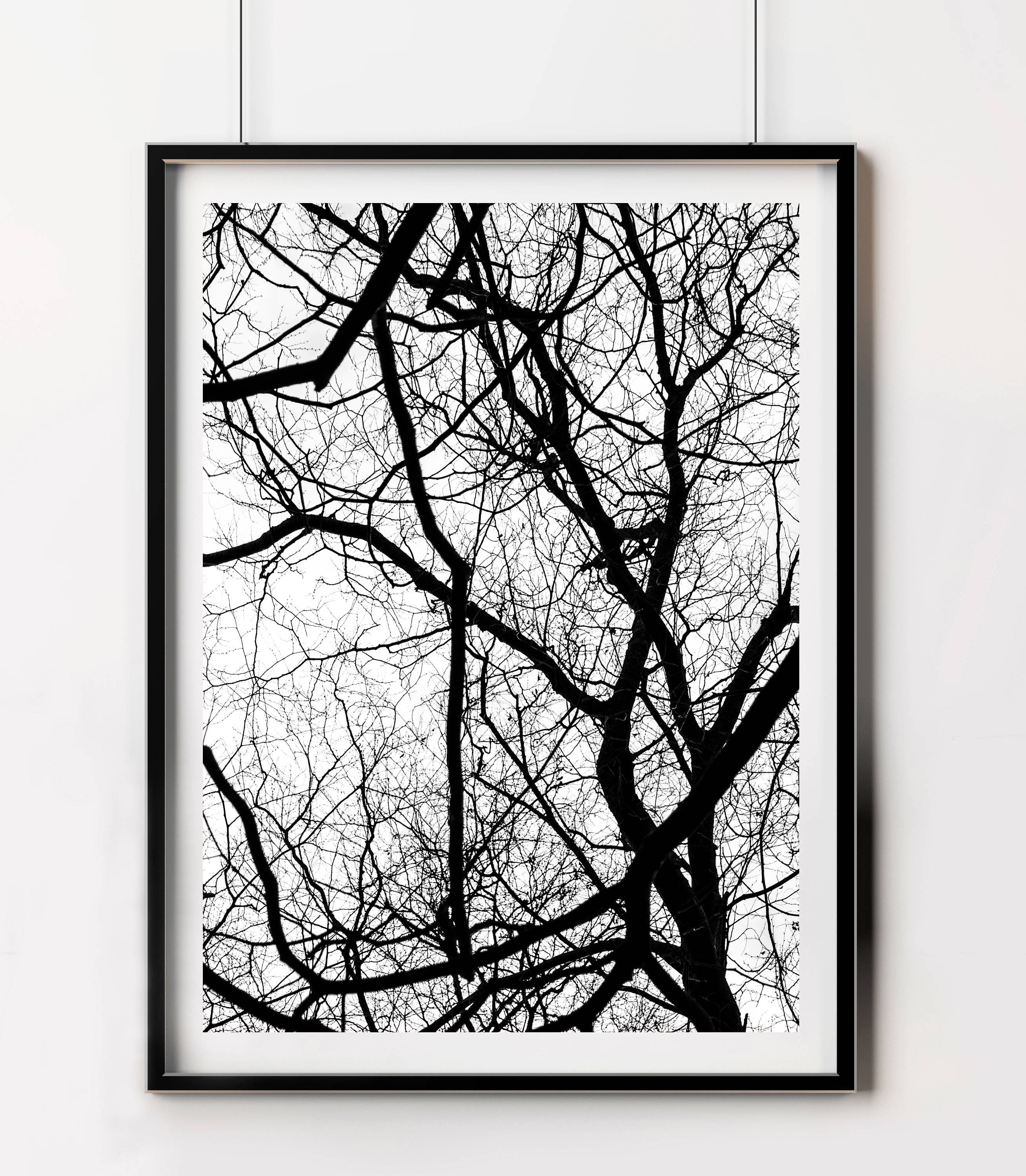 Forest Print Black and White Tree Photo Tree Branches Print Etsy