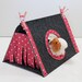 see more listings in the Guinea pig house section