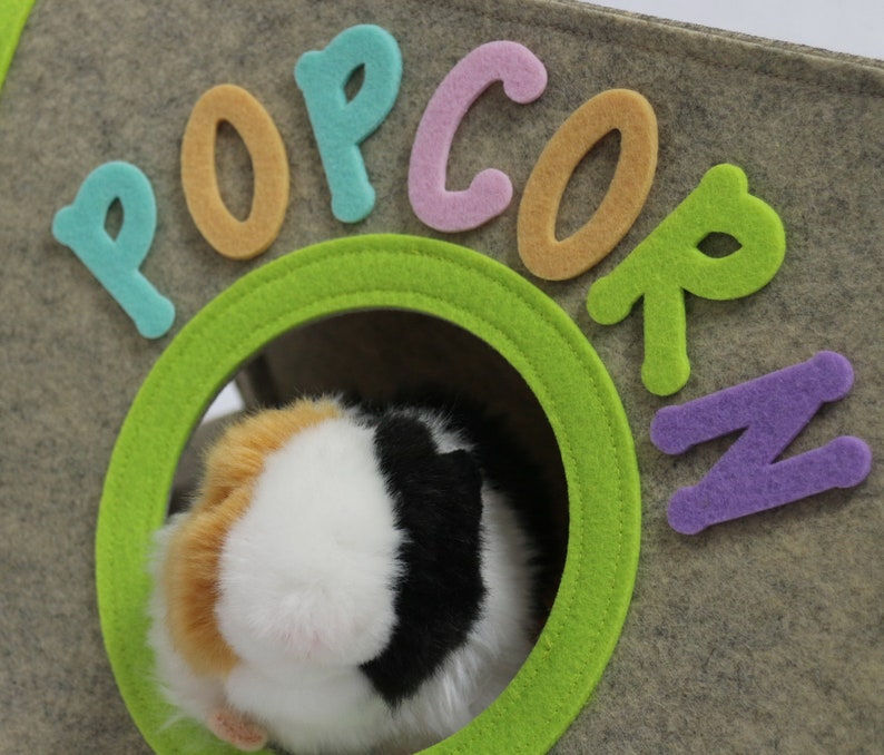 Personalized guinea pig house from felt