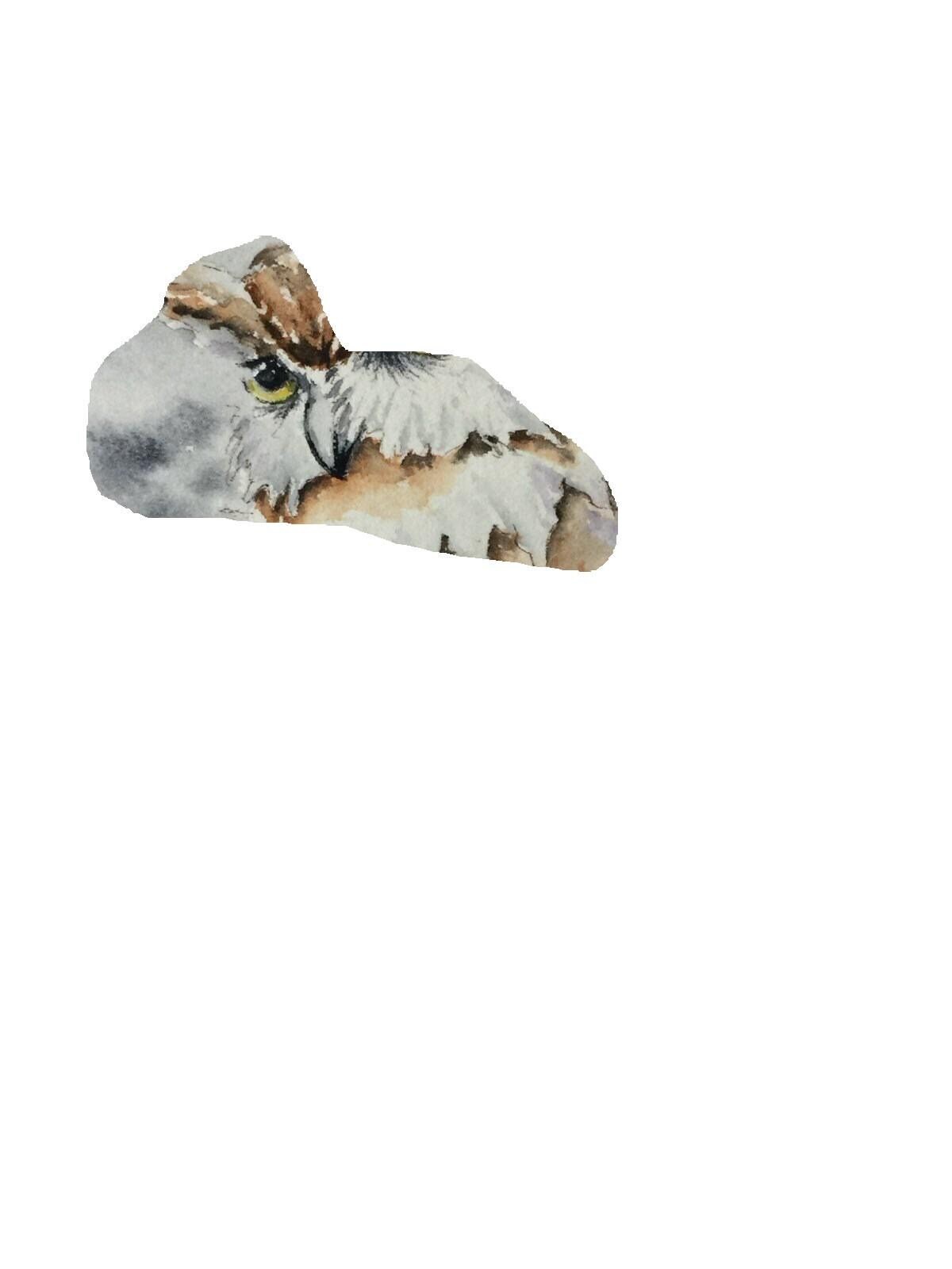 Line Drawing for owl spooky night Watercolor | Sunset Peonies