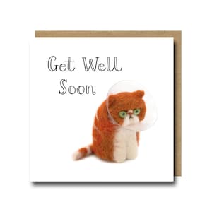Get Well Soon Card, Grumpy Cat in a Neck Cone, Funny Card voor Cat Lover, Greetings Card UK, Photographic Illustrated Animal Art Print Card