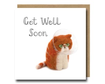 Get Well Soon Card, Grumpy Cat in a Neck Cone, Funny Card for Cat Lover, Greetings Card UK, Photographic Illustrated Animal Art Print Card