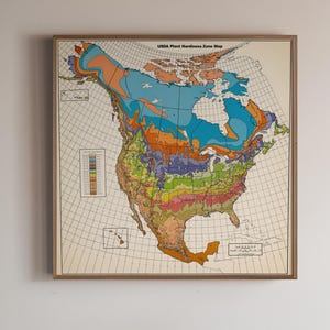 Póster vintage con mapa de zonas de rusticidad de plantas de América del Norte, guía de jardinería y agricultura, arte mural