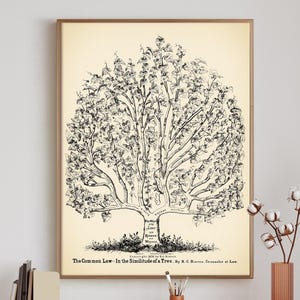 Law Poster, Law Tree Print, Lawyer Office Art, Attorney Gift, Vintage Law Wall Art