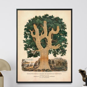 Tree of American History, US History Timeline, History Classroom Decor, Maps and Charts