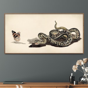 Snake and Butterfly - Vintage Illustration Print, Wall Art Home Gift