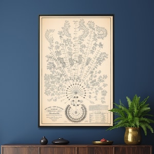 Vintage kaartafdruk New York en Erie Railroad | Grote poster met boomdiagram| Een gerestaureerde reproductie