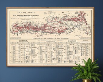 Wine Map of Beaujolais, Maconnais et Chalonnais| Bourgogne Wine Map| France Wine Region Print| Dining French Wall Art