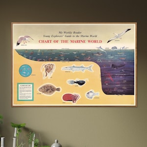 Vintage poster zeeleven, grafiek oceaandieren, print zeedieren, muurkunst levende oceaan