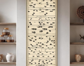 Vintage Animal Tracks Chart: Hunting Lodge Poster
