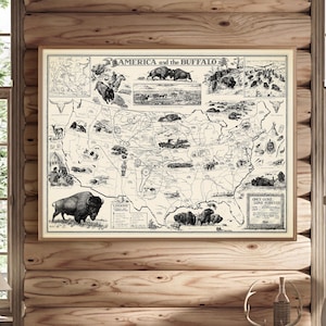 Peut inclure: Une carte vintage en noir et blanc des États-Unis représentant l'aire de répartition historique du bison d'Amérique. La carte est intitulée "America and the Buffalo" et comprend des illustrations de troupeaux de bisons et de chasseurs amérindiens. La carte est encadrée et accrochée à un mur en bois.