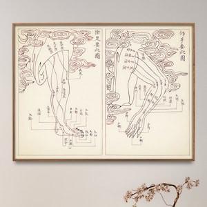 Grafiek acupunctuurpunten en meridianen, acupunctuur kunst aan de muur kantoor, perfect acupunctuurcadeau
