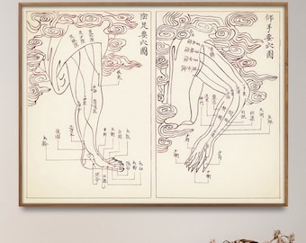 Tabla de puntos de acupuntura: Impresión artística vintage de meridianos