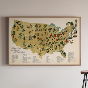 Flowers, Birds & Trees Of The Us - Vintage Map Print, State Flower Map Poster, State Bird Map Wall Art Home Gift
