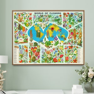 Flowers of the World| Vintage Map Print| Floral Poster| Wall Art Home Gift