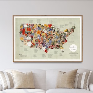 Vintage kaart van de VS met wilde bloemen | Poster lentebloemen kaart | Muurkunst Amerikaanse bloemenkaart