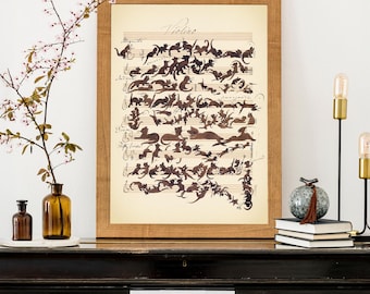 Cat Symphony Vintage Art Print, Cats & Music Poster, Wall Art Home Gift