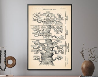 Evolutionary Tree Art Print, Evolution Art, Ernst Haeckel Family Tree ...